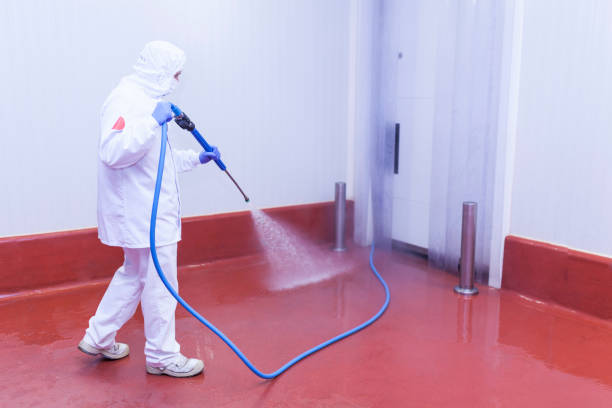Best Solar Panel Cleaning  in Cutchogue, NY